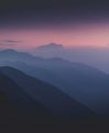 Tamara’s Blog
